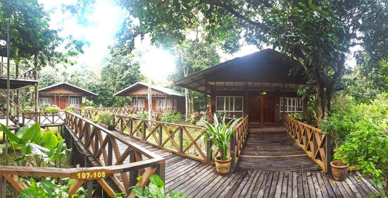 Borneo Nature Lodge Sukau Buitenkant foto